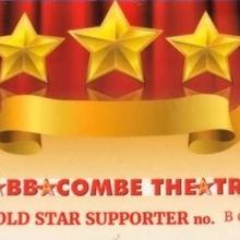 GOLD STAR  SUPPORTERS CARD